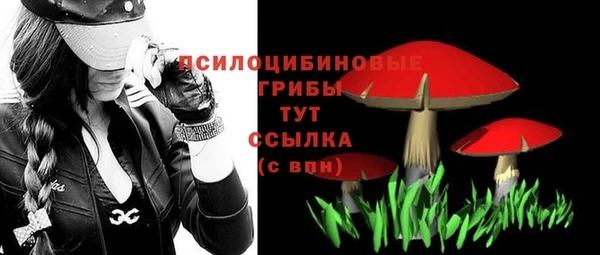 сатива Баксан