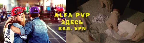 сатива Баксан