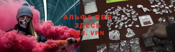 сатива Баксан