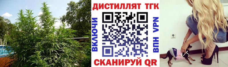 ТГК жижа  блэк спрут ссылка  Гдов 